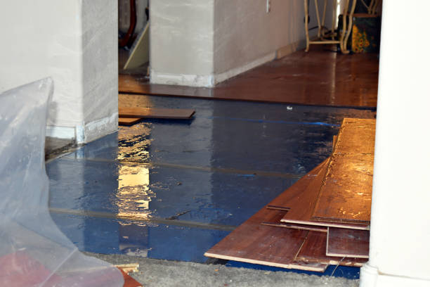 Professional Basement Flood Cleanup technician working in McDavid, FL